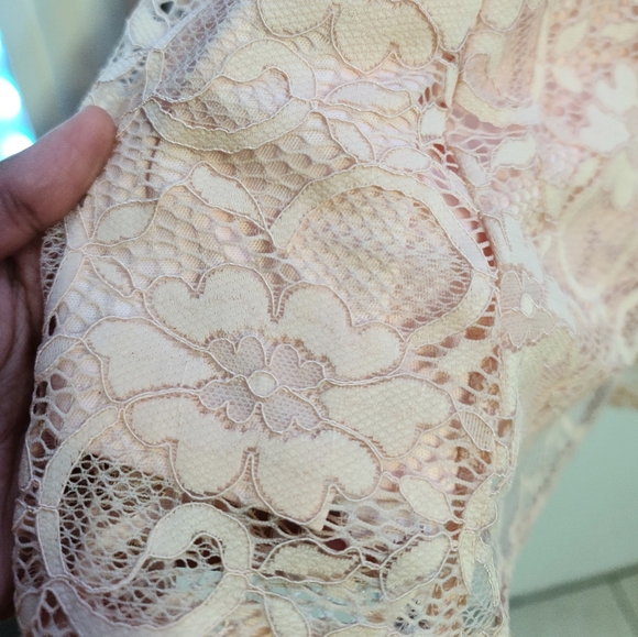 Light pink Lace Dress - Picture 4 of 6